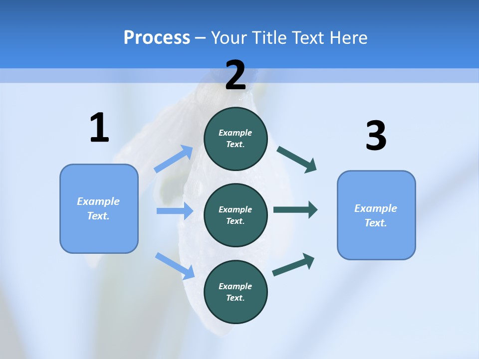 Closeup Dew Spring Flower PowerPoint Template