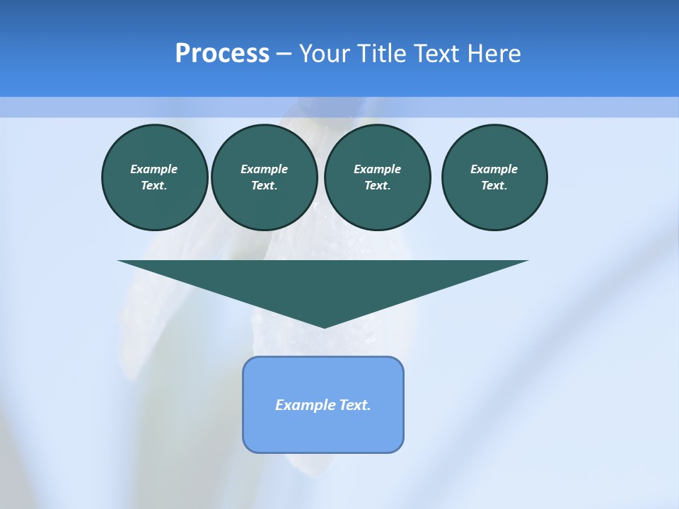 Closeup Dew Spring Flower PowerPoint Template