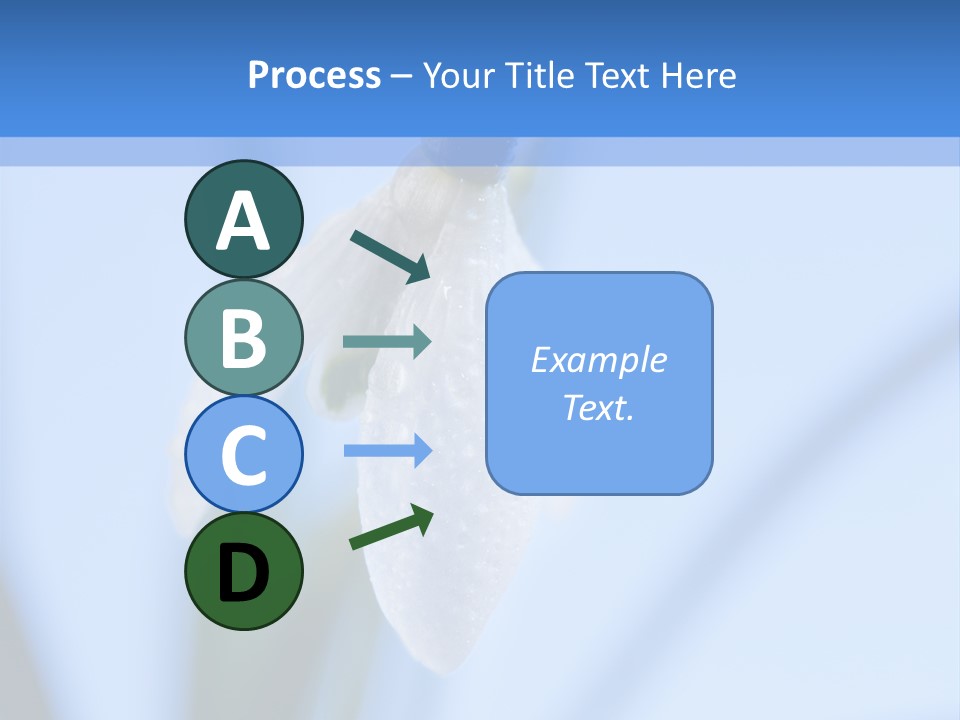 Closeup Dew Spring Flower PowerPoint Template