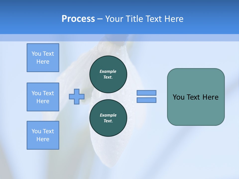 Closeup Dew Spring Flower PowerPoint Template