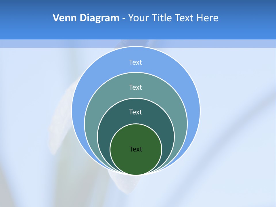 Closeup Dew Spring Flower PowerPoint Template