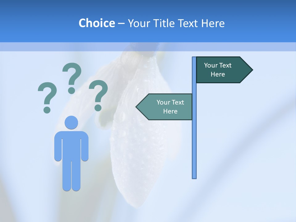 Closeup Dew Spring Flower PowerPoint Template