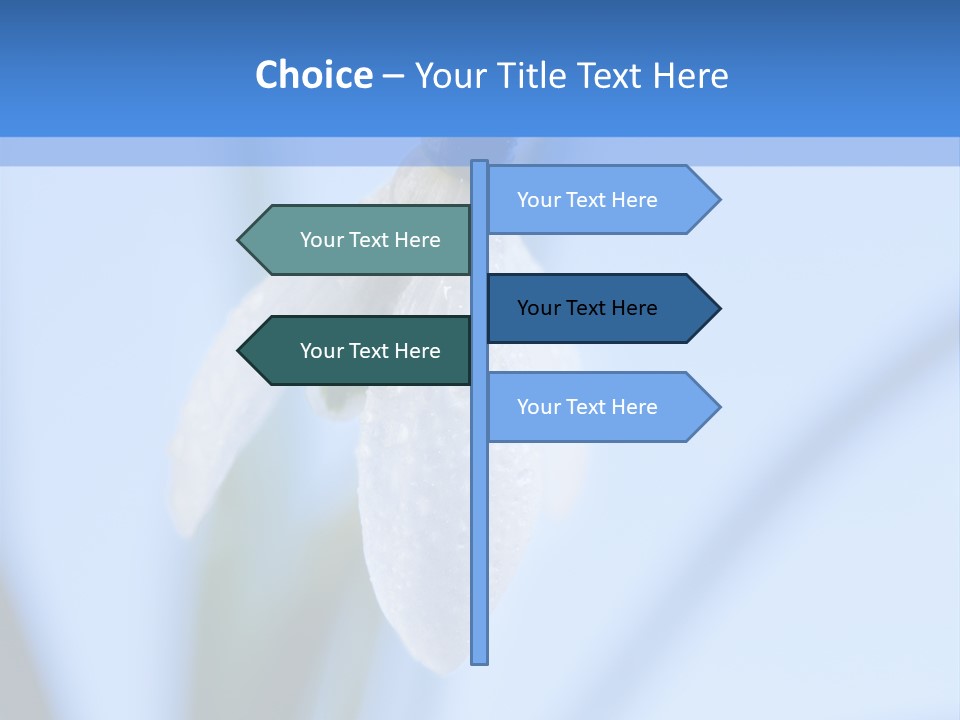 Closeup Dew Spring Flower PowerPoint Template