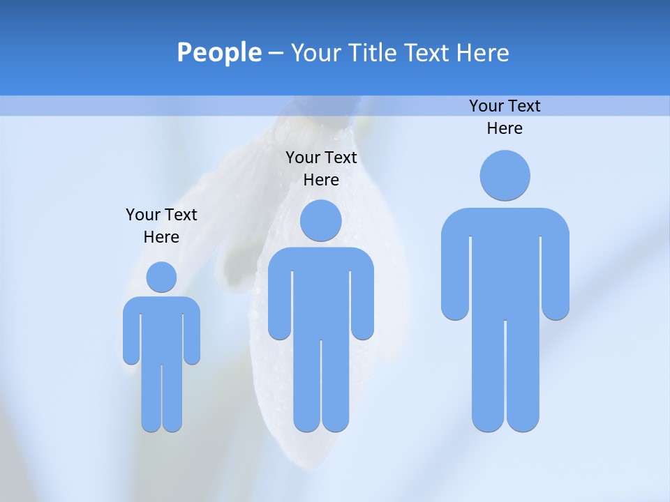 Closeup Dew Spring Flower PowerPoint Template