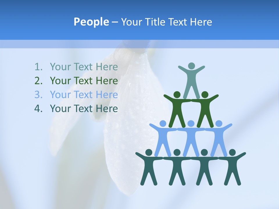 Closeup Dew Spring Flower PowerPoint Template