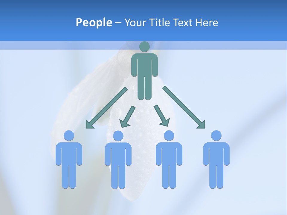 Closeup Dew Spring Flower PowerPoint Template