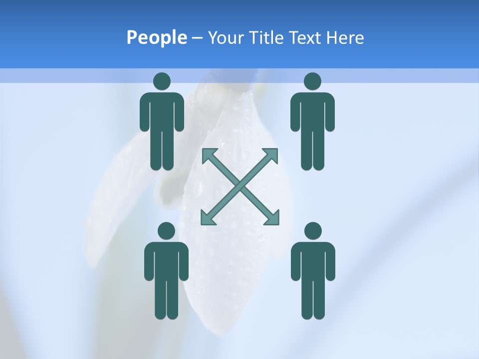 Closeup Dew Spring Flower PowerPoint Template