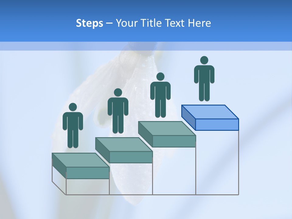 Closeup Dew Spring Flower PowerPoint Template