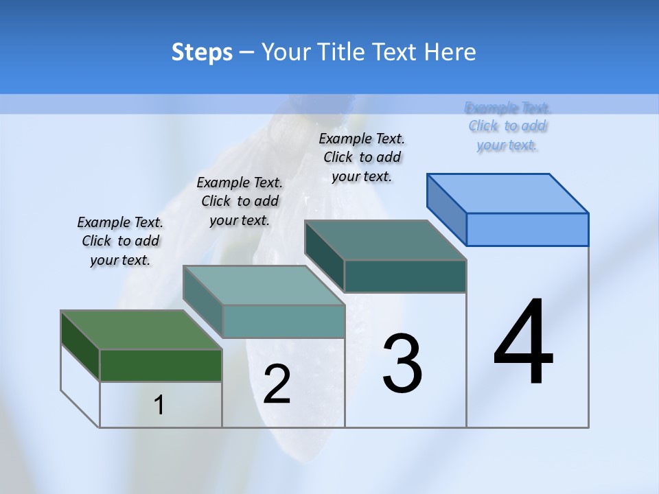 Closeup Dew Spring Flower PowerPoint Template