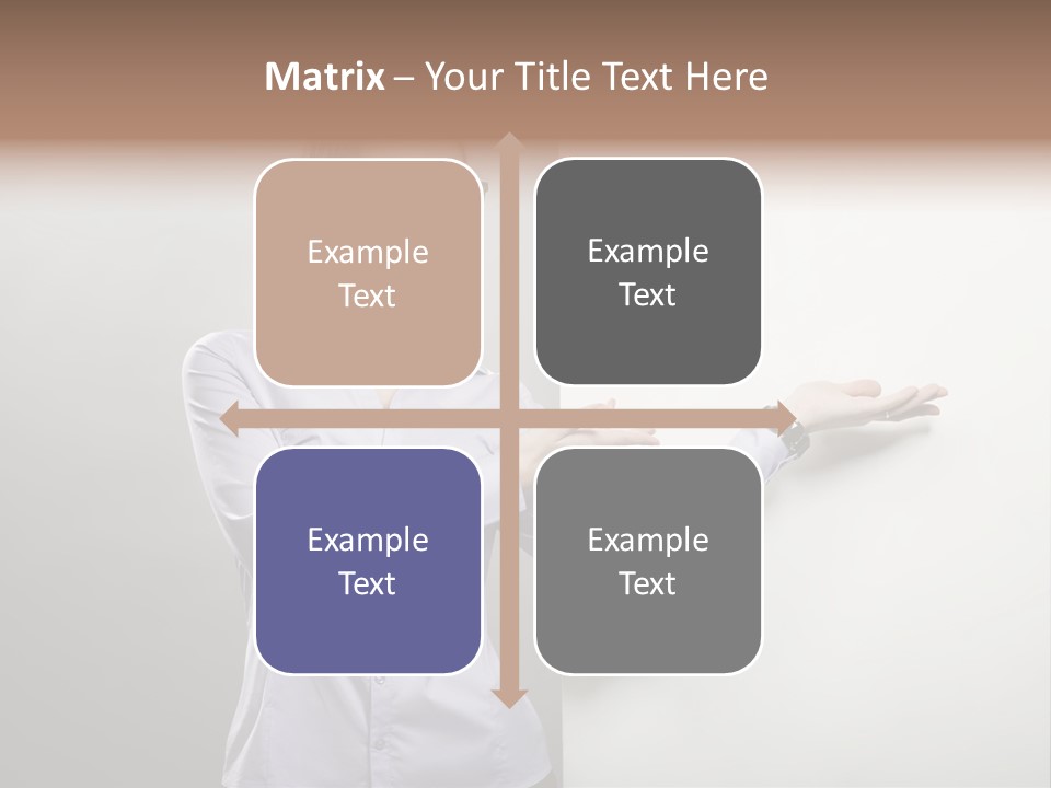 Brunet  Manager PowerPoint Template
