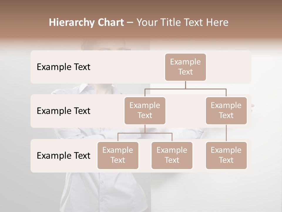 Brunet  Manager PowerPoint Template
