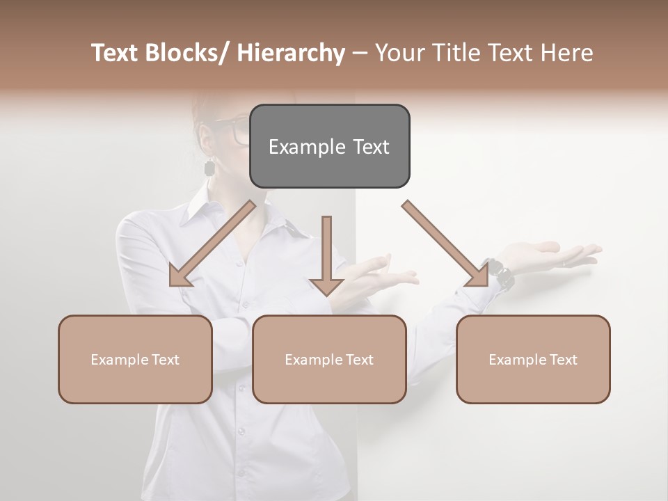 Brunet  Manager PowerPoint Template