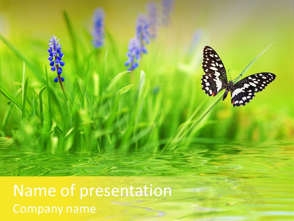 Field Leaf Beauty PowerPoint Template