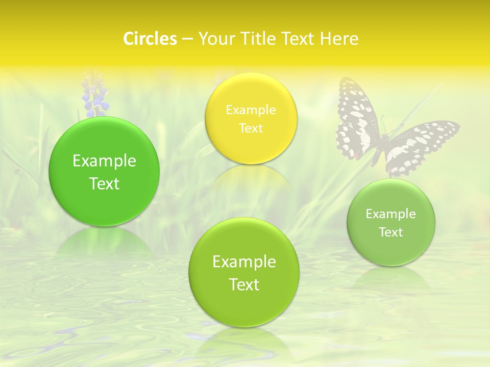 Field Leaf Beauty PowerPoint Template