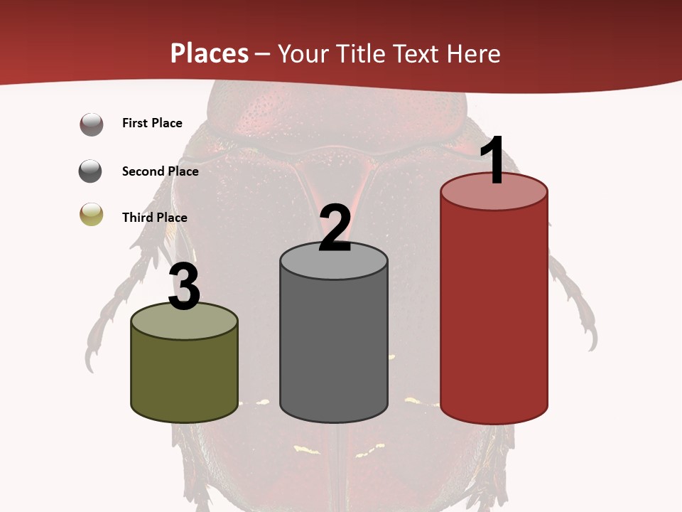 Macro Polished Scarab PowerPoint Template