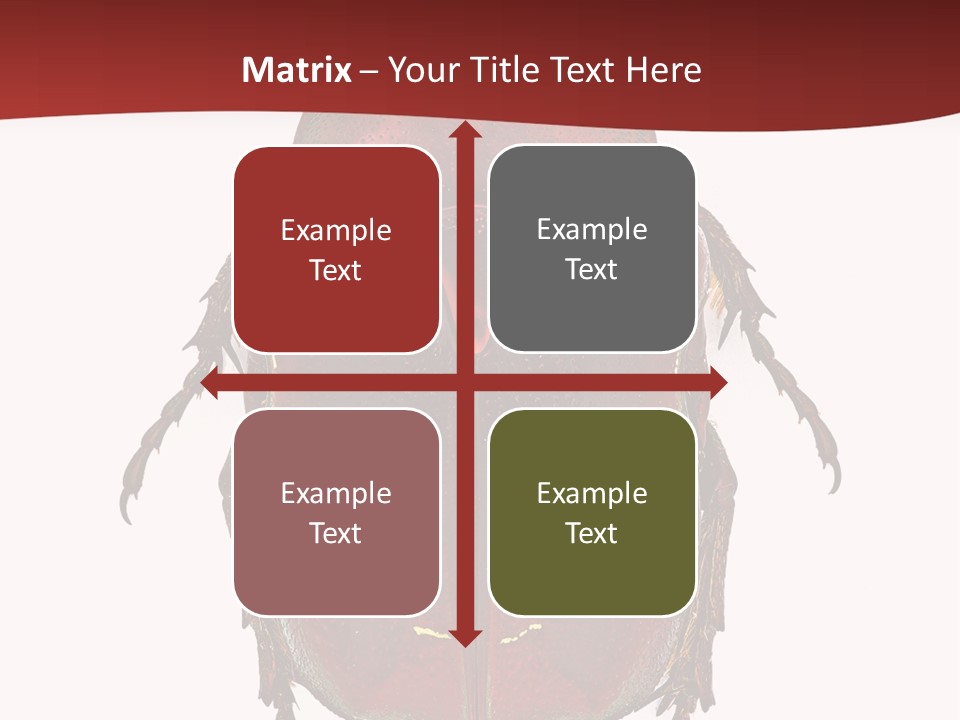 Macro Polished Scarab PowerPoint Template