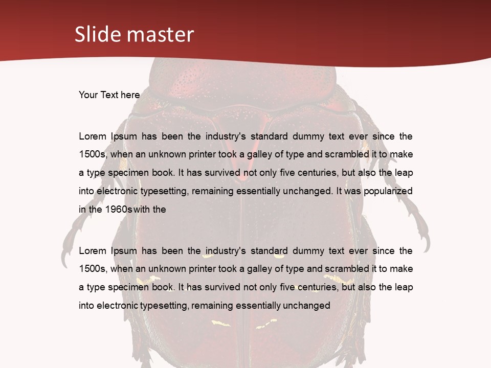 Macro Polished Scarab PowerPoint Template