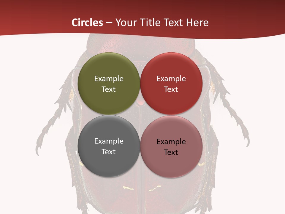 Macro Polished Scarab PowerPoint Template