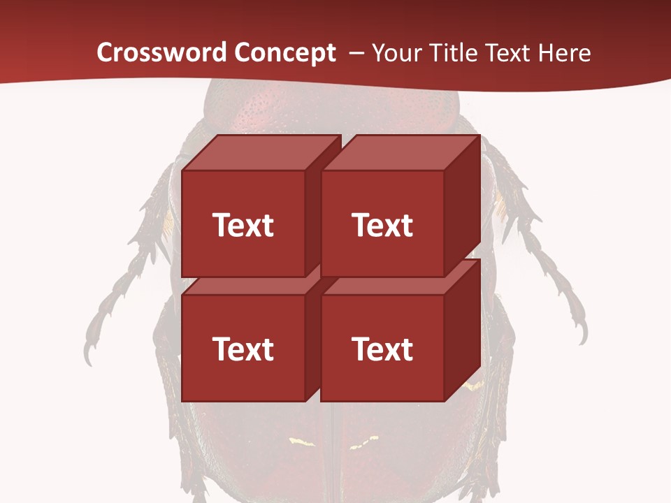 Macro Polished Scarab PowerPoint Template