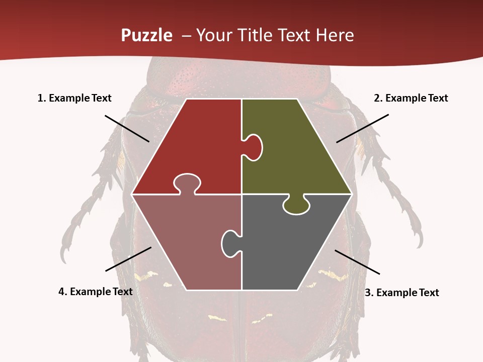 Macro Polished Scarab PowerPoint Template