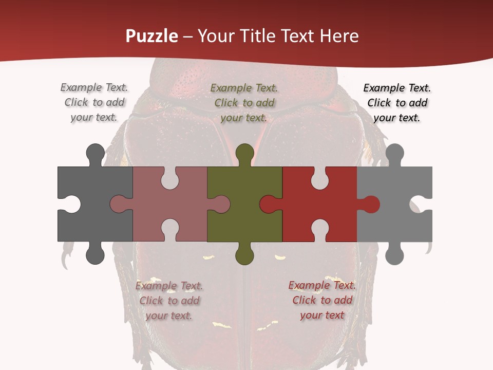 Macro Polished Scarab PowerPoint Template