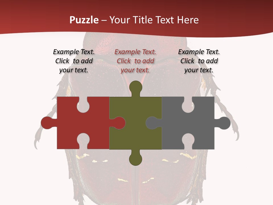 Macro Polished Scarab PowerPoint Template