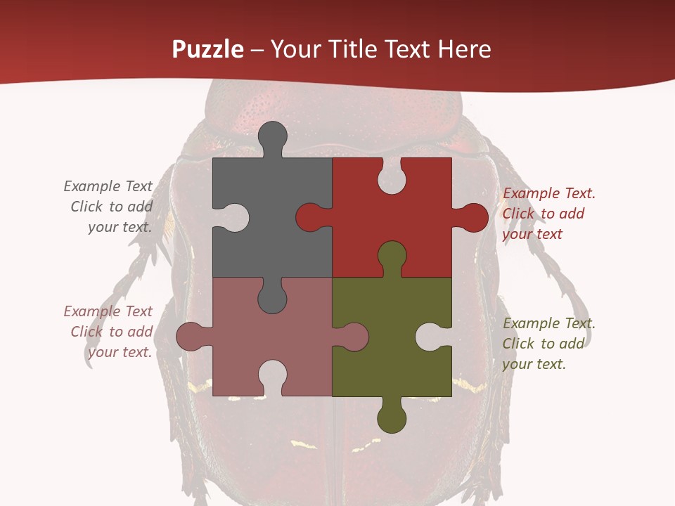 Macro Polished Scarab PowerPoint Template