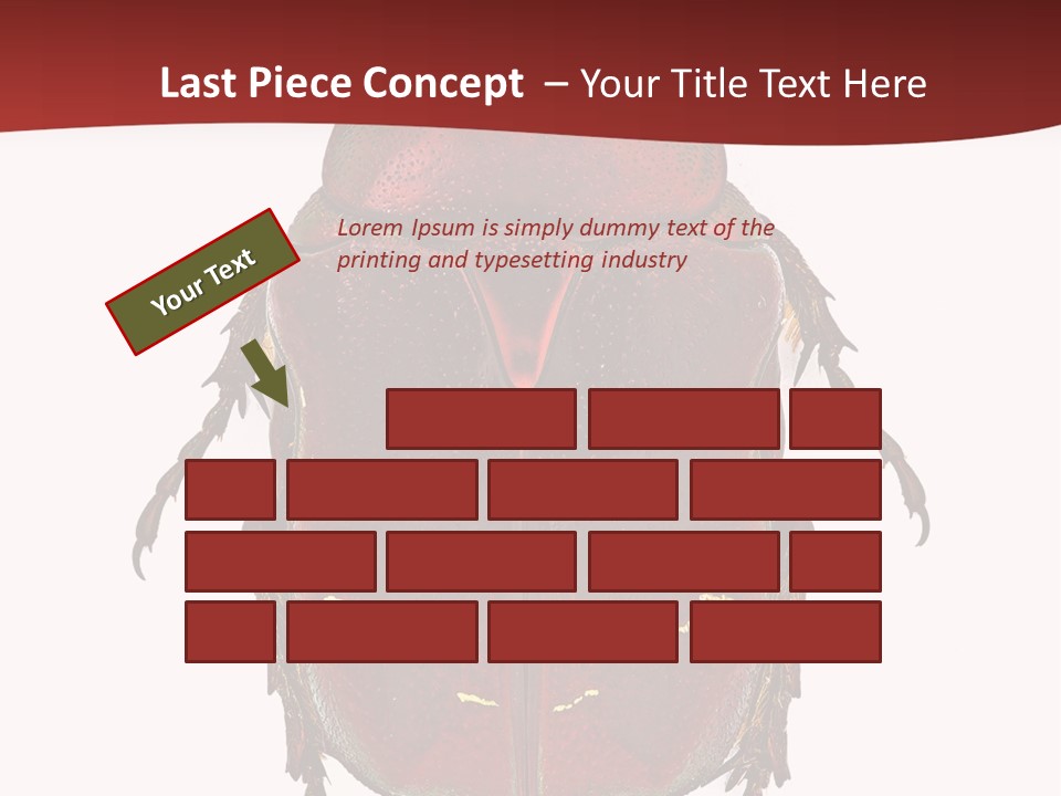 Macro Polished Scarab PowerPoint Template