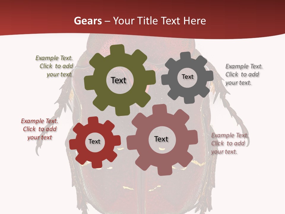 Macro Polished Scarab PowerPoint Template