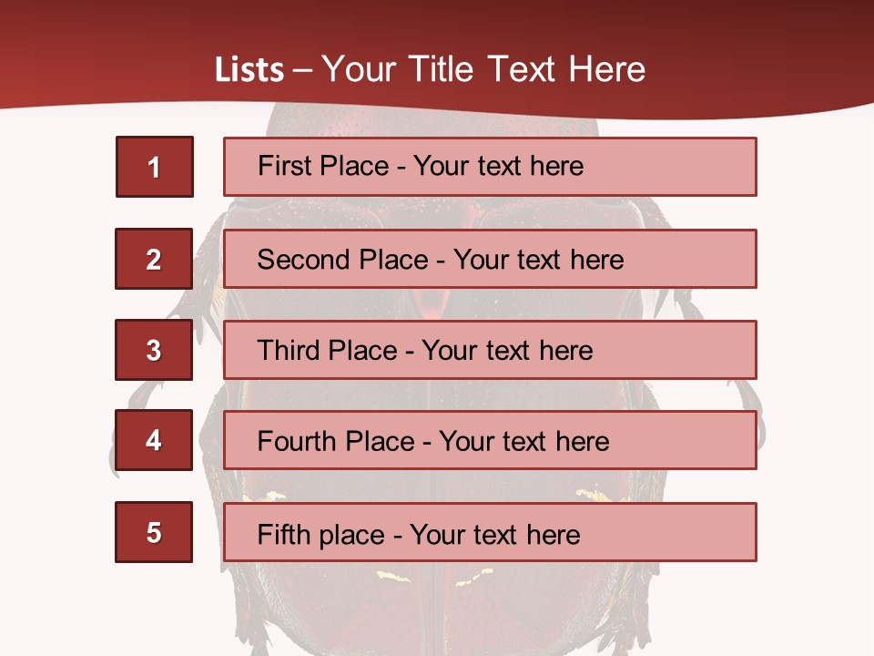 Macro Polished Scarab PowerPoint Template