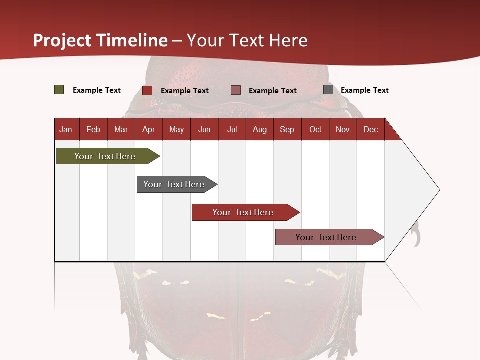 Macro Polished Scarab PowerPoint Template