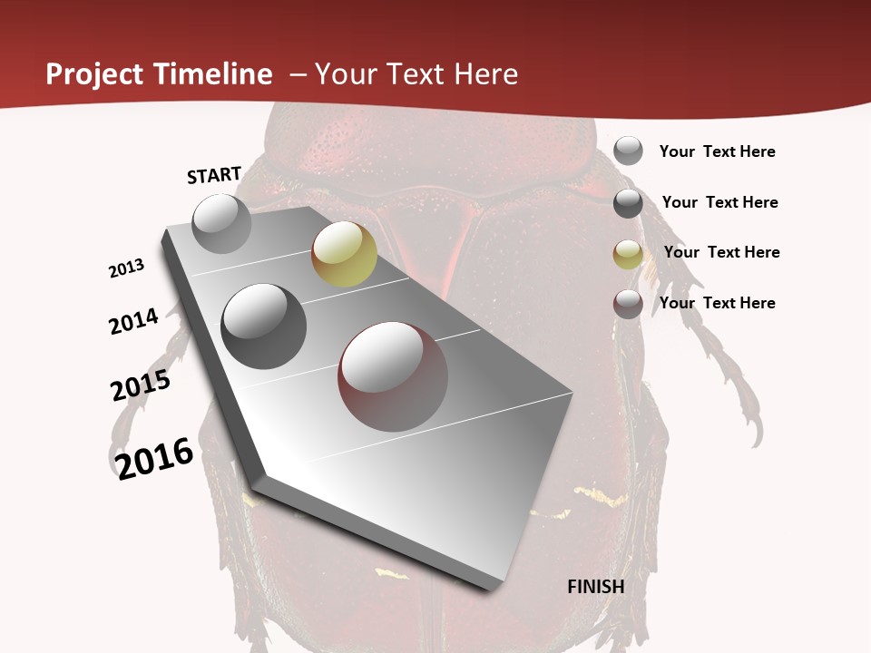 Macro Polished Scarab PowerPoint Template