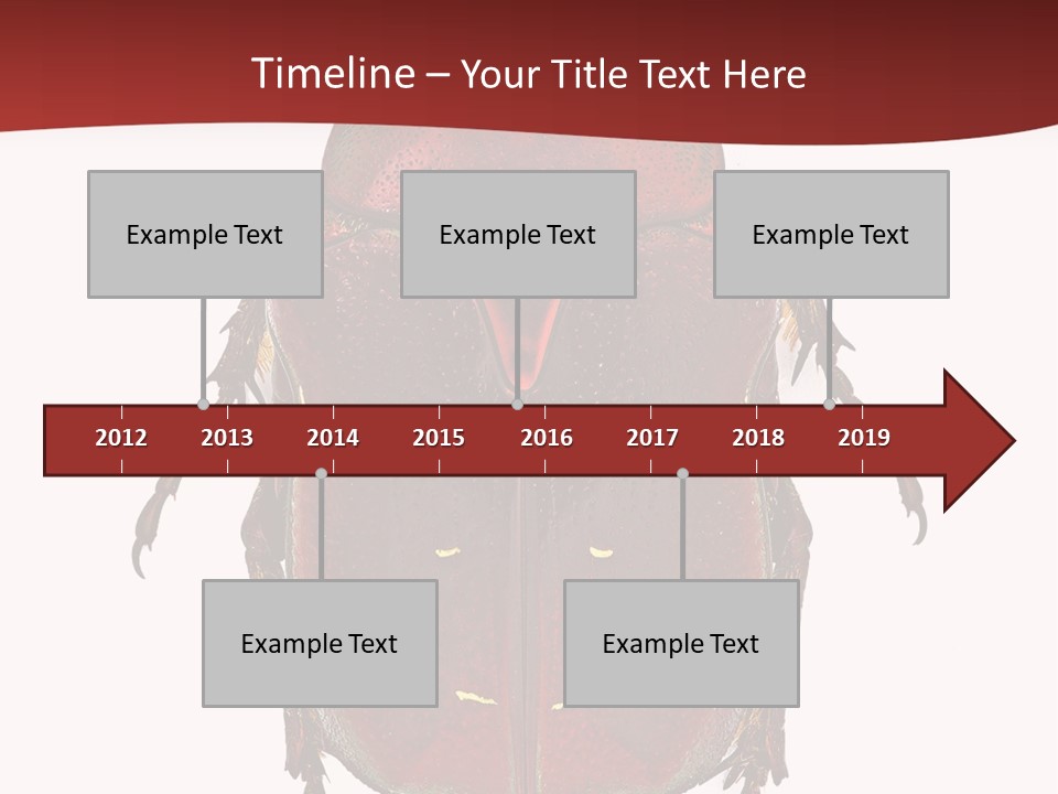 Macro Polished Scarab PowerPoint Template