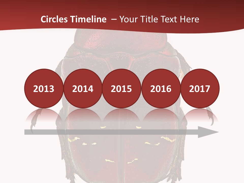 Macro Polished Scarab PowerPoint Template