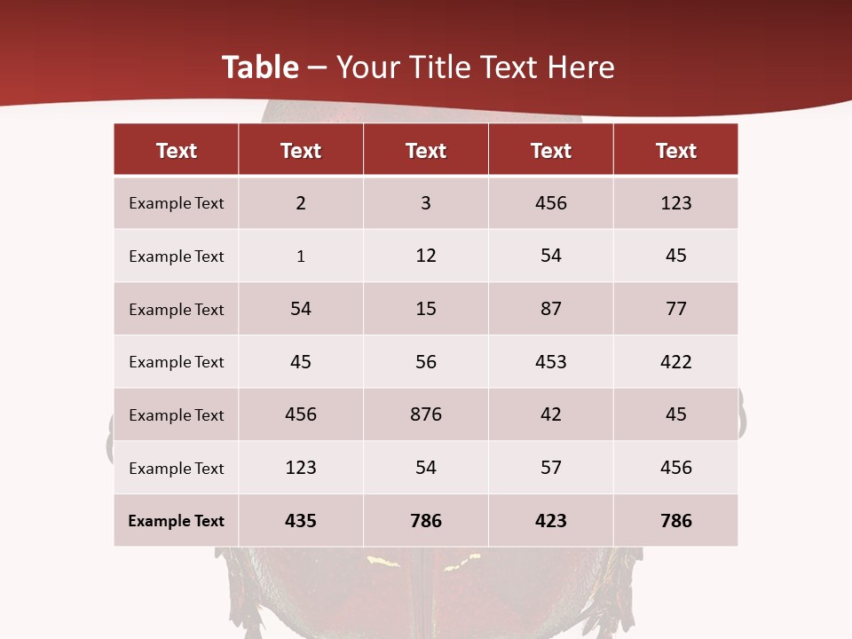Macro Polished Scarab PowerPoint Template