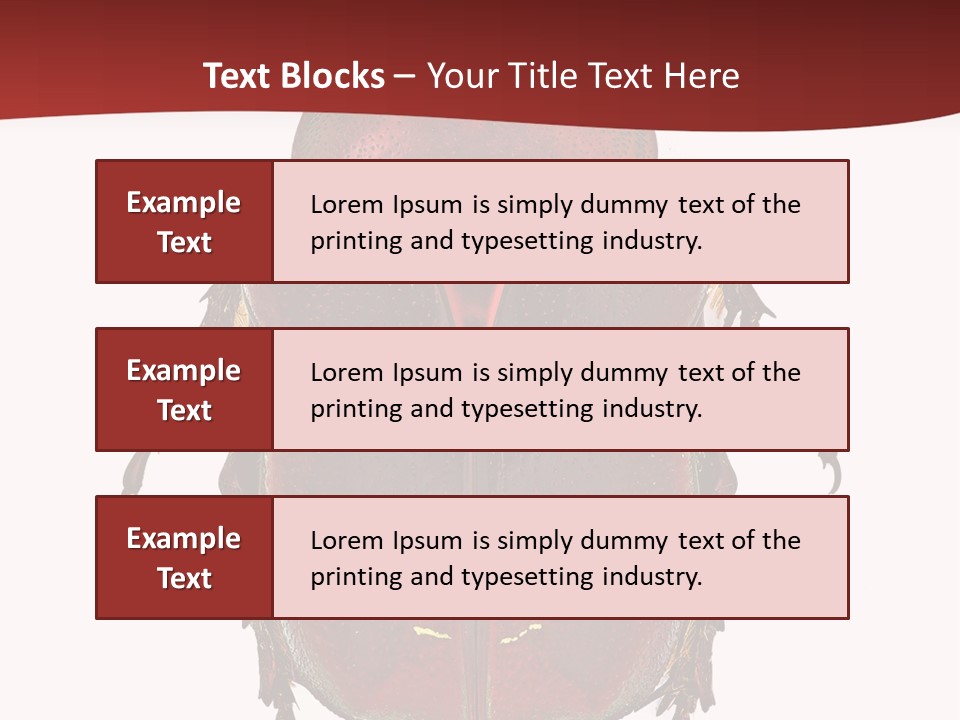 Macro Polished Scarab PowerPoint Template