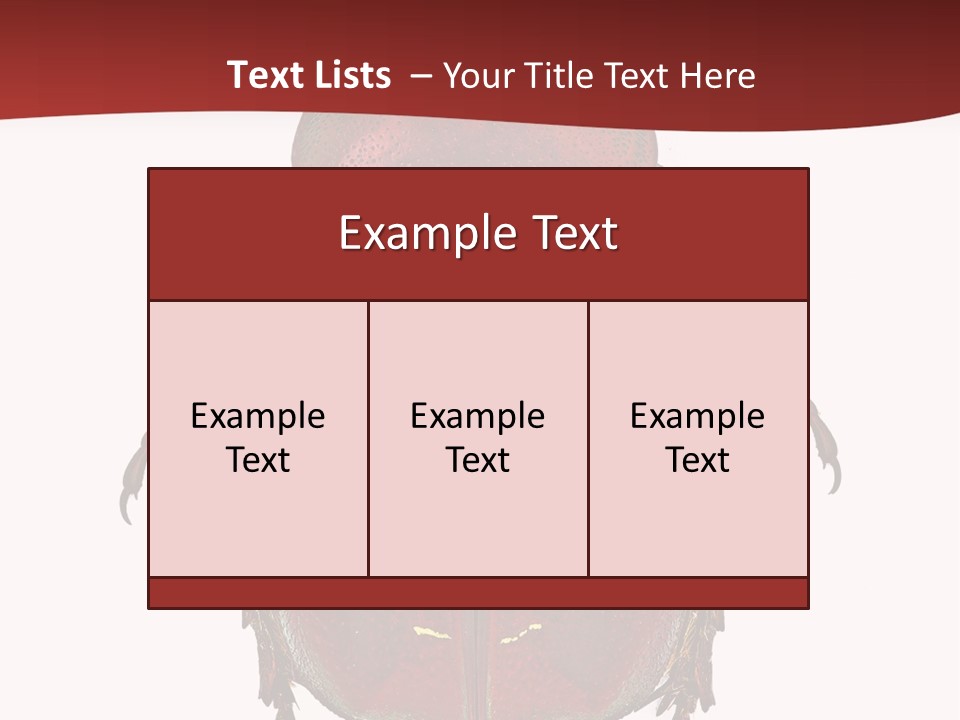 Macro Polished Scarab PowerPoint Template
