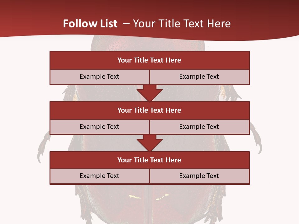 Macro Polished Scarab PowerPoint Template