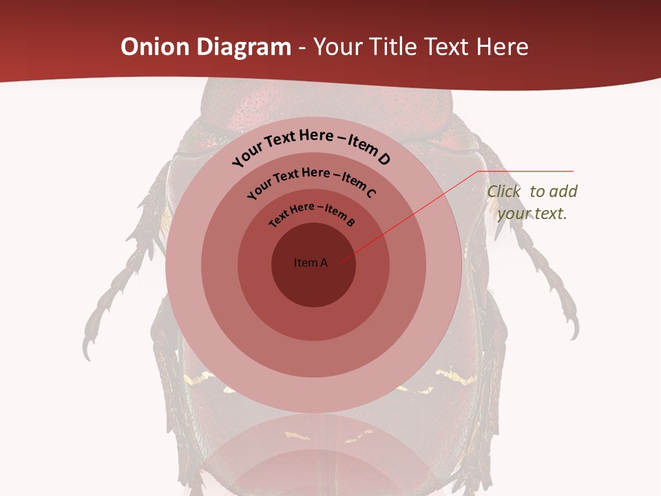 Macro Polished Scarab PowerPoint Template