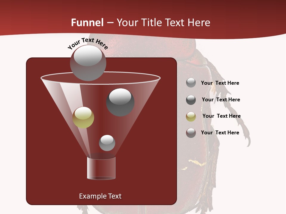 Macro Polished Scarab PowerPoint Template