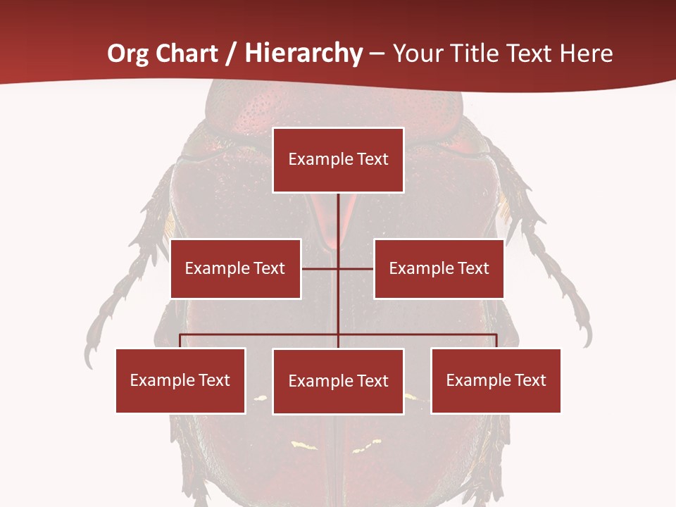 Macro Polished Scarab PowerPoint Template