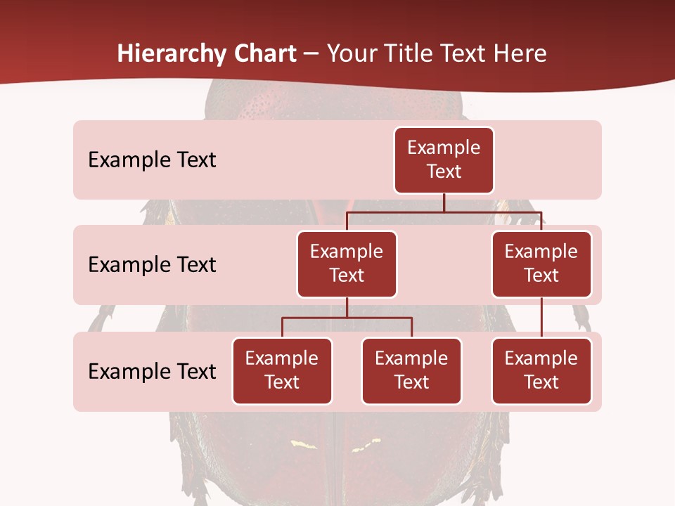 Macro Polished Scarab PowerPoint Template