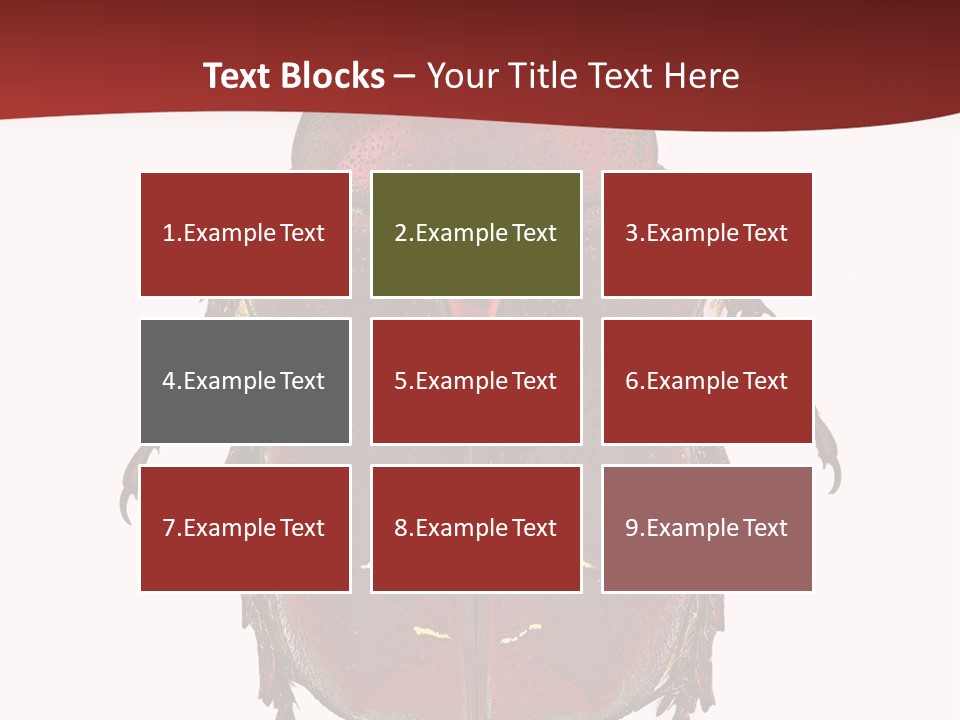 Macro Polished Scarab PowerPoint Template