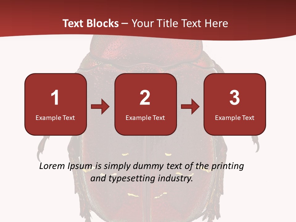 Macro Polished Scarab PowerPoint Template