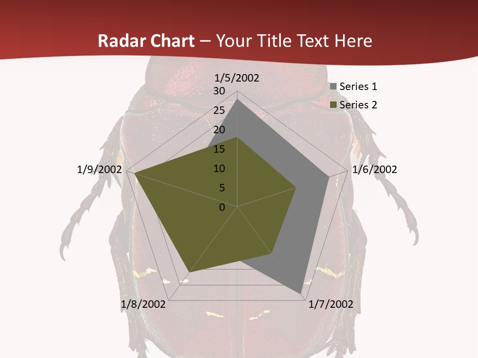 Macro Polished Scarab PowerPoint Template