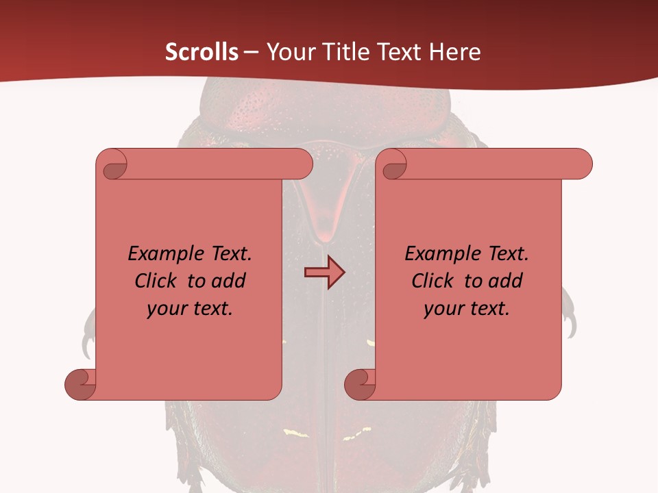 Macro Polished Scarab PowerPoint Template
