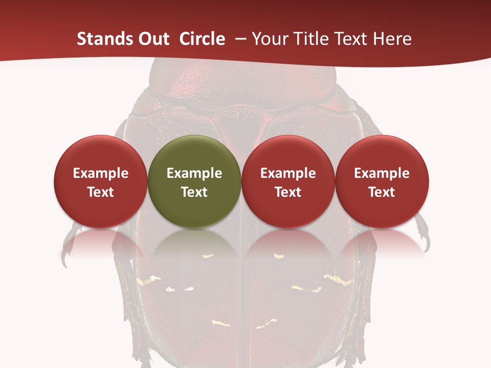 Macro Polished Scarab PowerPoint Template