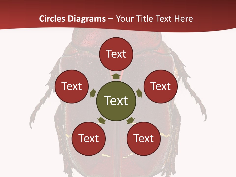 Macro Polished Scarab PowerPoint Template