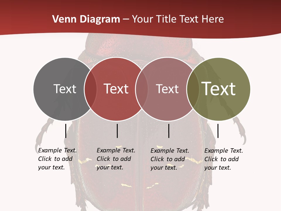 Macro Polished Scarab PowerPoint Template