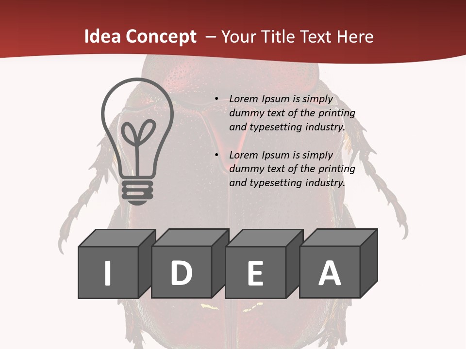 Macro Polished Scarab PowerPoint Template